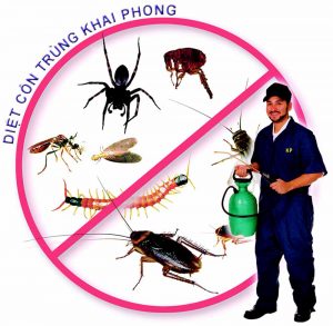 Dịch vụ phun bọ chét tại Hưng Yên